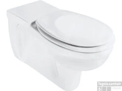 Ideal Standard San Remo Wandcloset Diepspoel 70 Cm Wit