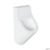 Urinoir Salenzi Hung Achterinlaat Mat Wit 1 Urinoir Salenzi Hung Achterinlaat Mat Wit -Geberiter Meubels Geschaft 7ae1mwh0 urinoir salenzi hung achterinlaat mat wit shop
