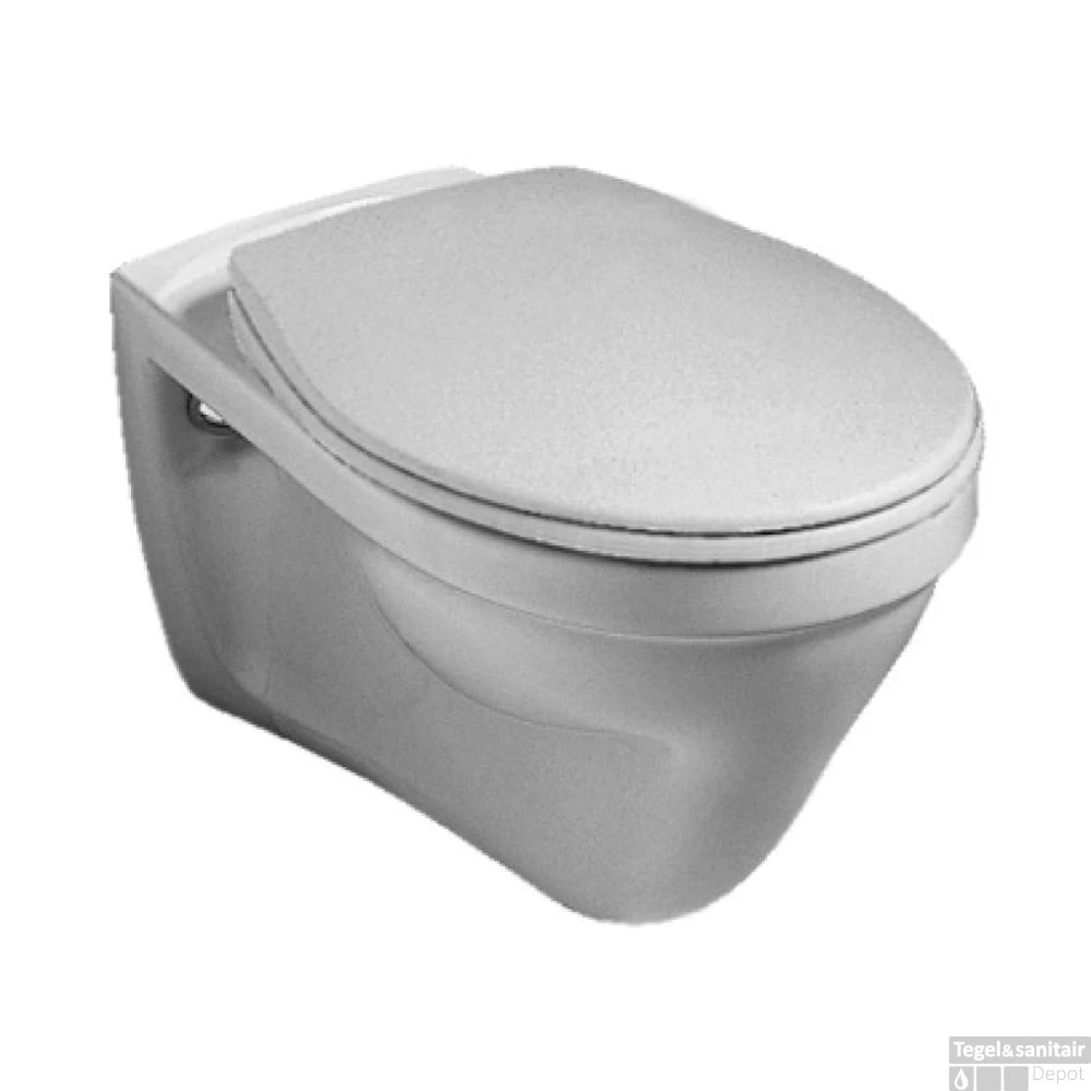 Grohe Rapid SL Toiletset Set17 Gustavsberg Saval Vlakspoel Met Grohe Arena Of Skate Drukplaat 4 Grohe Rapid SL Toiletset Set17 Gustavsberg Saval Vlakspoel Met Grohe Arena Of Skate Drukplaat - Afbeelding 2