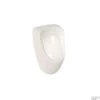 Urinoir Plieger Kansas Met Achterinlaat Wit
